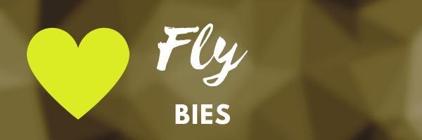 Fly Bies